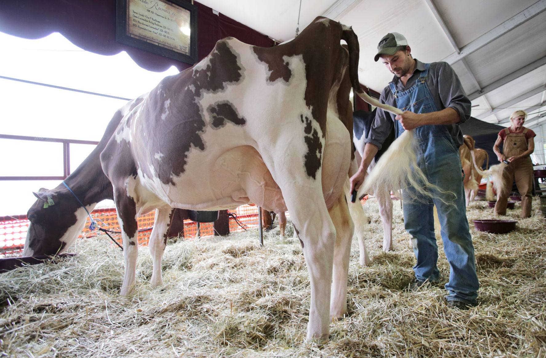 World Dairy Expo